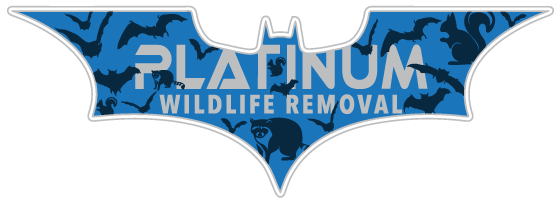 Animal Removal Boone County