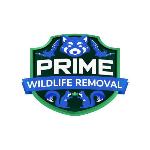 Animal Removal Boone County